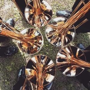 Meet your Posher, Cole